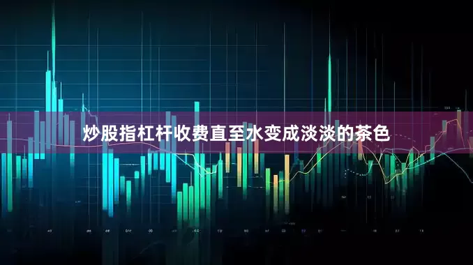 炒股指杠杆收费直至水变成淡淡的茶色