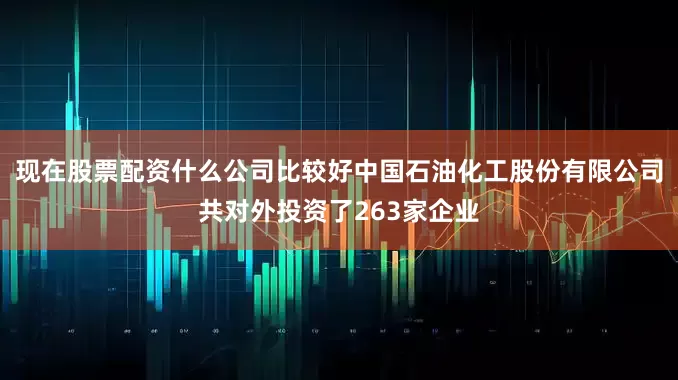 现在股票配资什么公司比较好中国石油化工股份有限公司共对外投资了263家企业