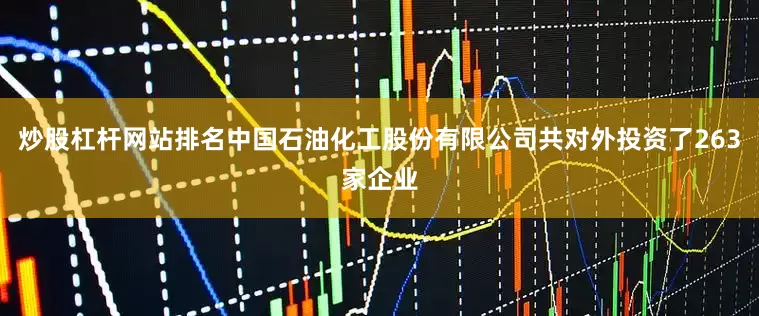 炒股杠杆网站排名中国石油化工股份有限公司共对外投资了263家企业